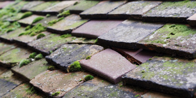 Tattenhoe roof repair costs